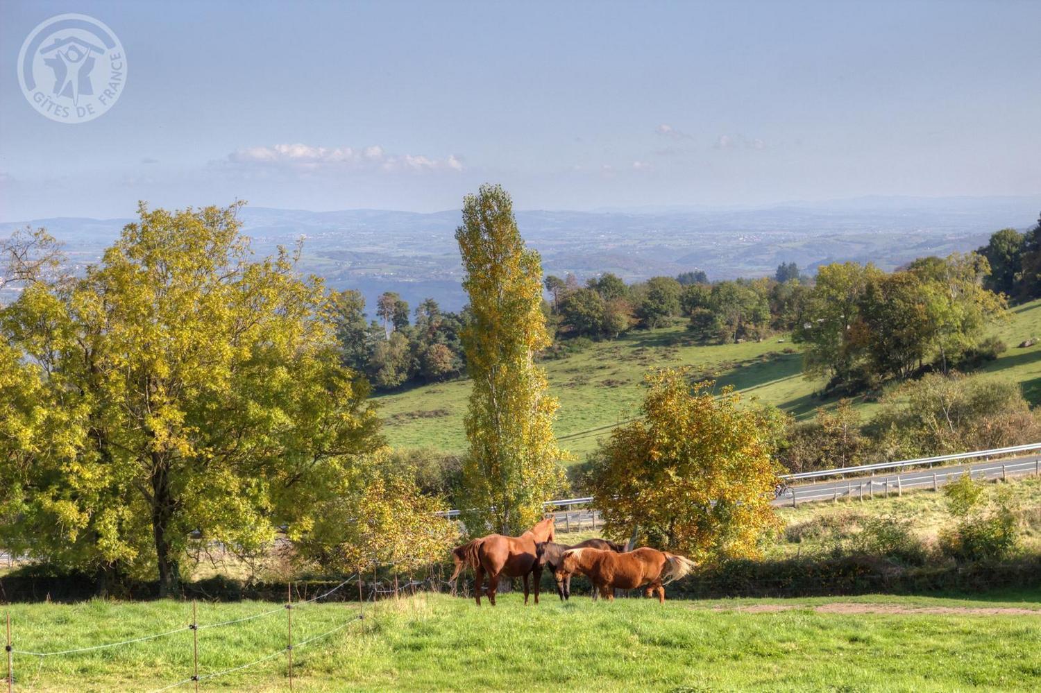 La Ferme Des Galoches Bed & Breakfast Villemontais Luaran gambar