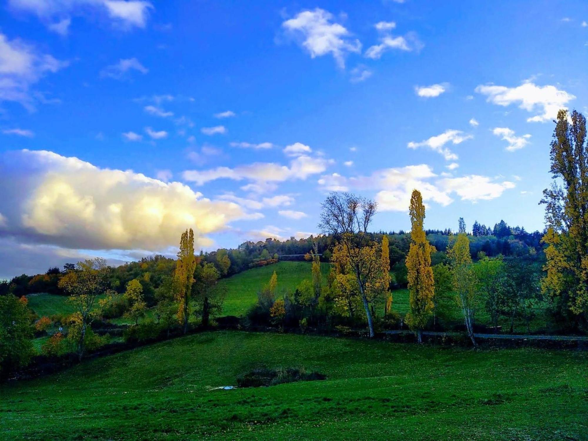 La Ferme Des Galoches Bed & Breakfast Villemontais Luaran gambar